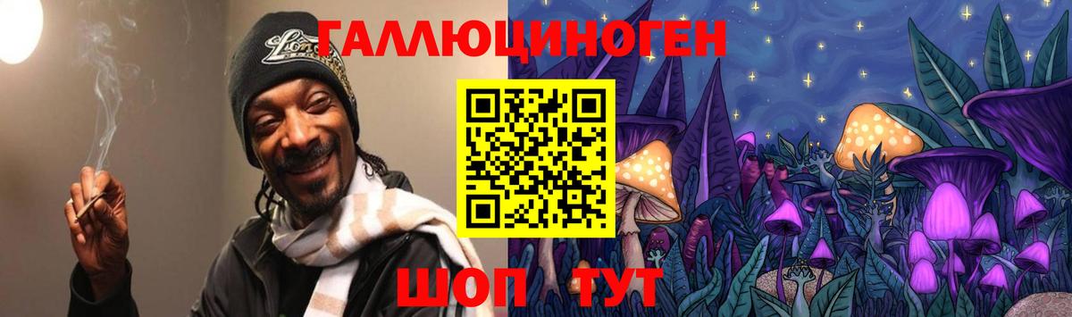 Тара  Псилоцибиновые грибы GOLDEN TEACHER  Вход с VPN 