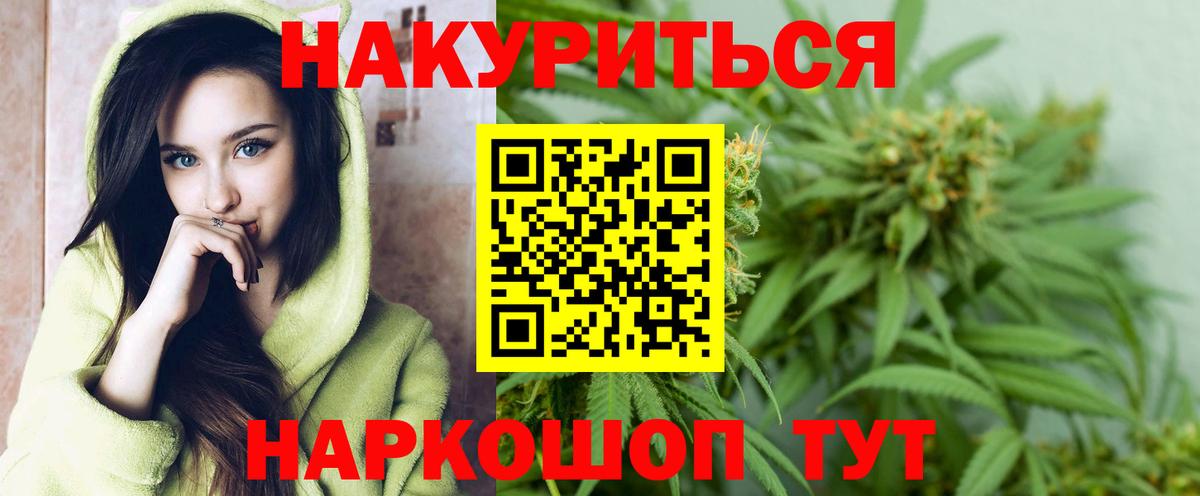 Конопля гибрид Тара